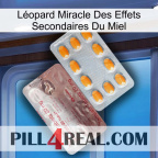 Léopard Miracle Des Effets Secondaires Du Miel new13